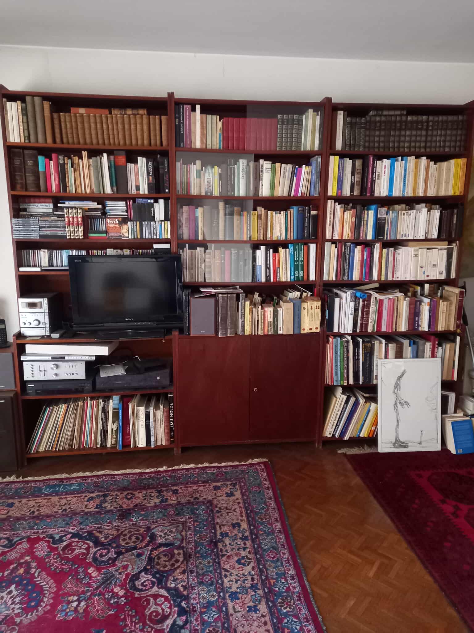 Grande étagère en bois remplie de livres variés avec un petit téléviseur, une peinture à côté et des tapis sur le sol pour débarras dans le 78